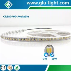 รับประกัน 3 ปี 2 In 1 W/WW 3527 Dual Color Led Srip, 24V 120 Leds/m 3527 CCT Led Strip แบบปรับได้